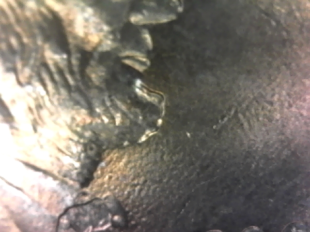 2000-D-Lincoln-Penny-With-Lip-Deformity.