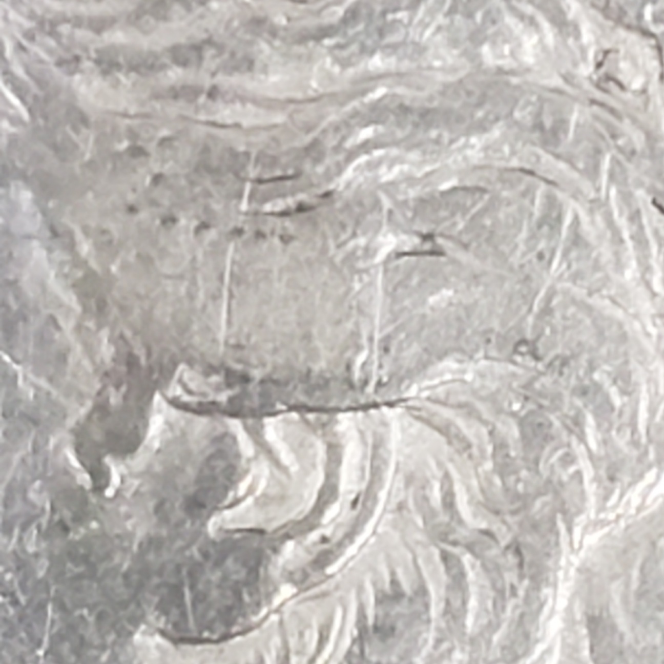 1878-Morgan-8TF-VAM-14.20