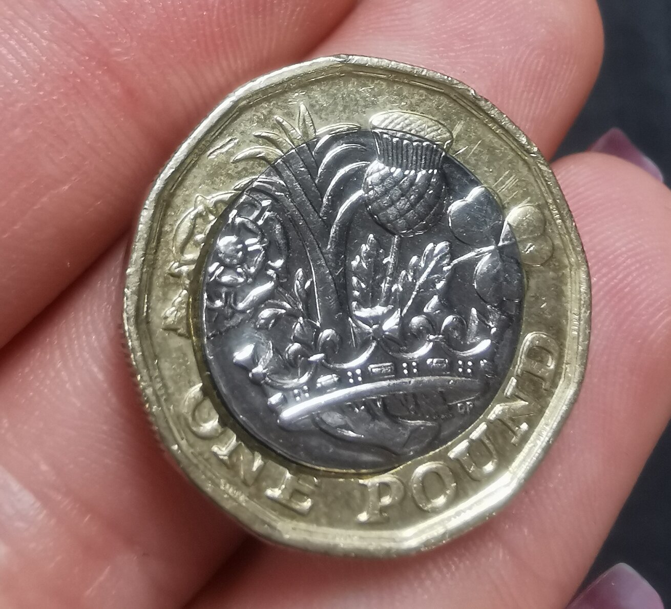 1-Pound-Misprint-Error