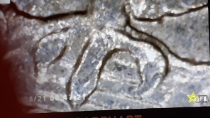 The-Good,-The-Bad,-Or-The-Ugly-1997-D-Quarter