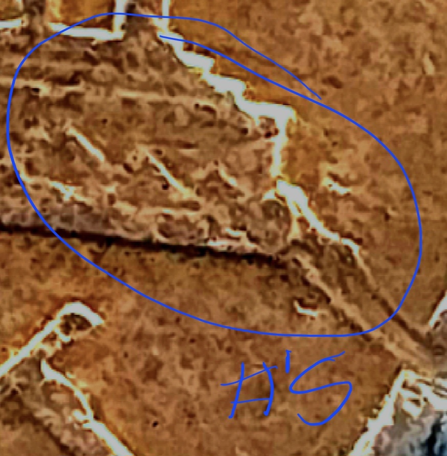 1964-No-Mint-Mark-Cent-SMS-Maybe-Not-Sure-With-Errors