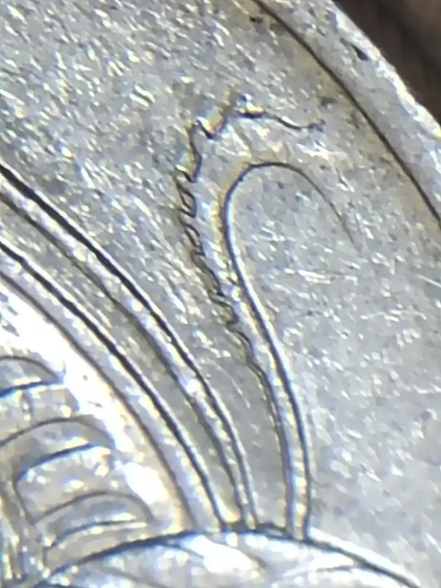 2003-10c-Repeating-Bird-Tail