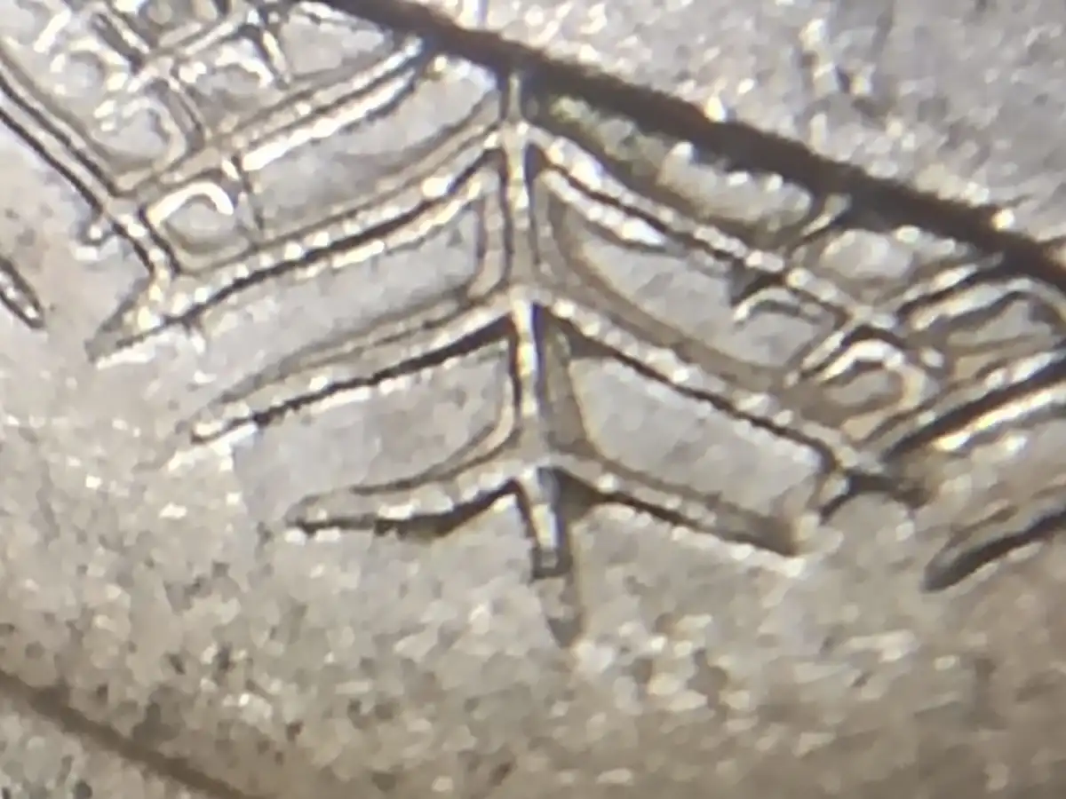 2003-10c-Repeating-Bird-Tail