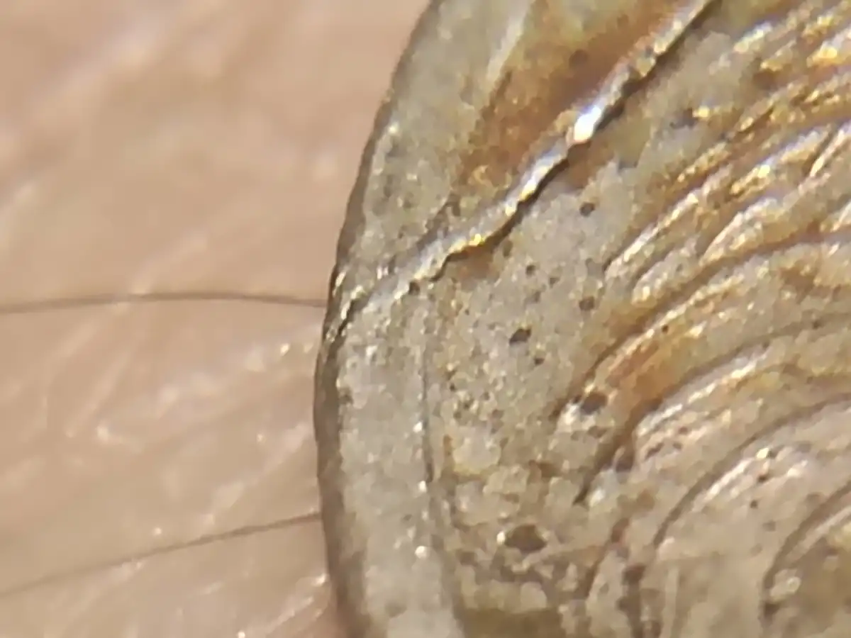 2001-5c-Coin-With-A-Line-Across-It