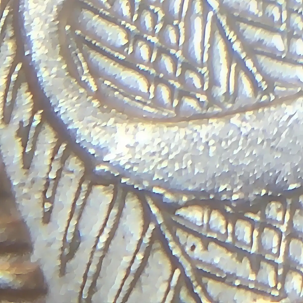 2021-Ten-Cent-Die-Chip