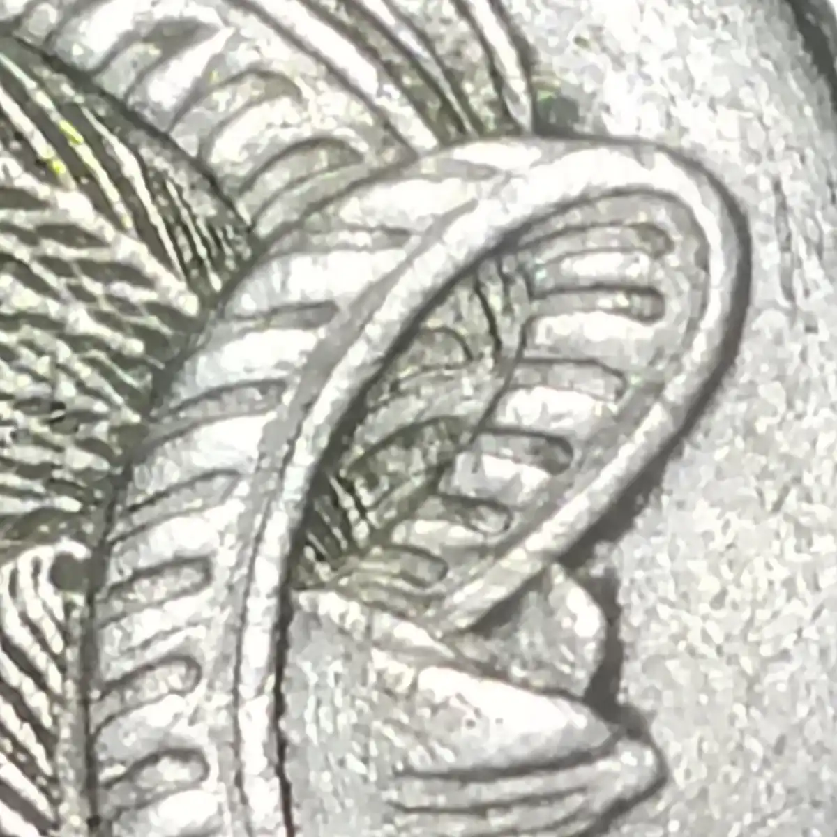Various-10c-Coins-Missing-Parts-Of-Tails