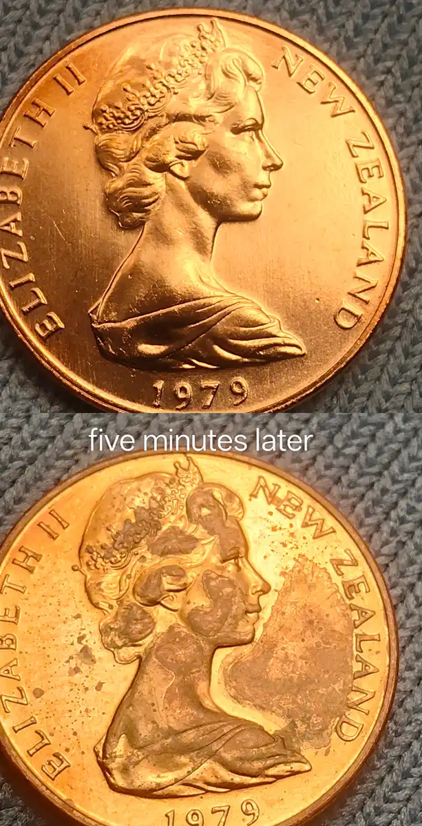 1979-NZ-$1-Burrs-+-20c-#2-Lip