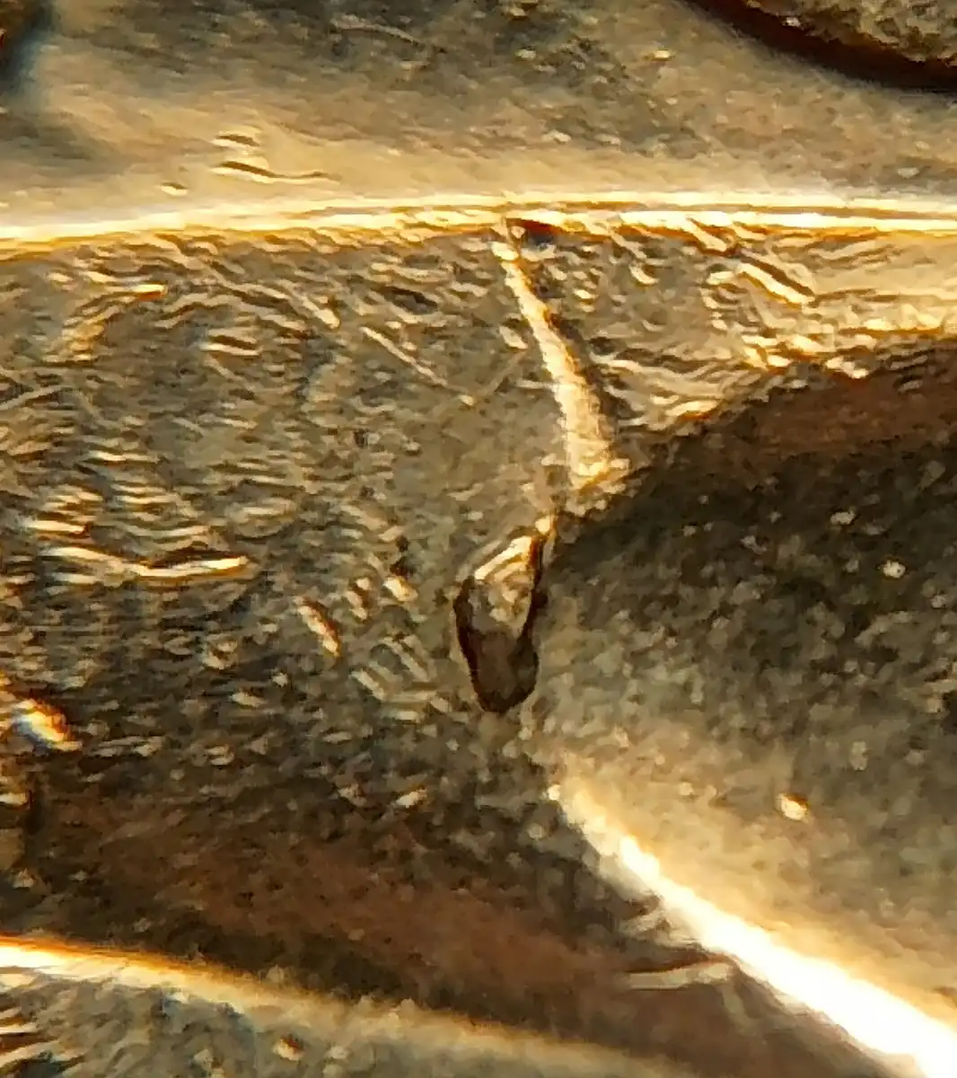 2013-20c-Wave-Die-Break