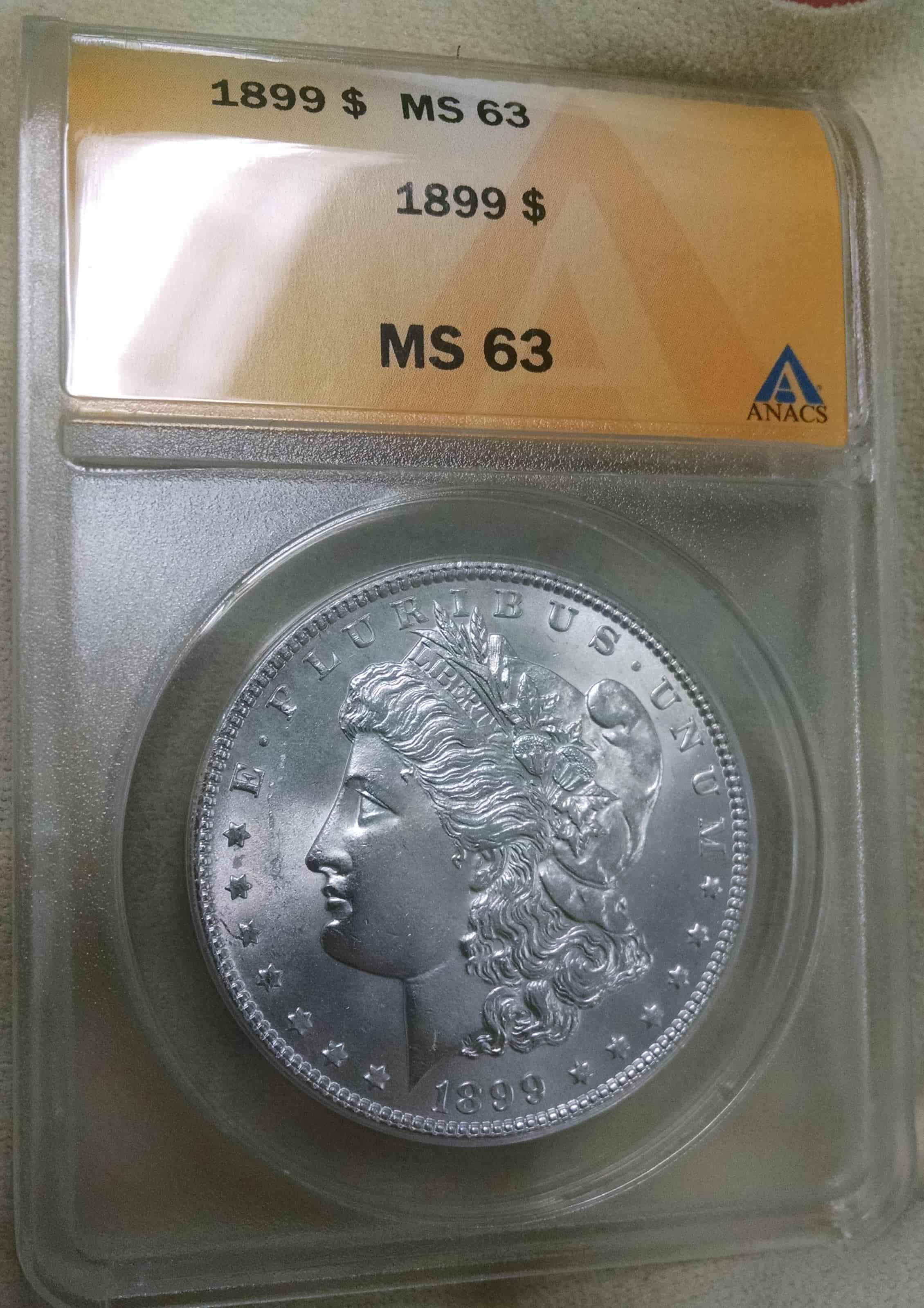 Thoughts-On-These-2---1899-Morgan-Dollars-PCGS-&-ANACS