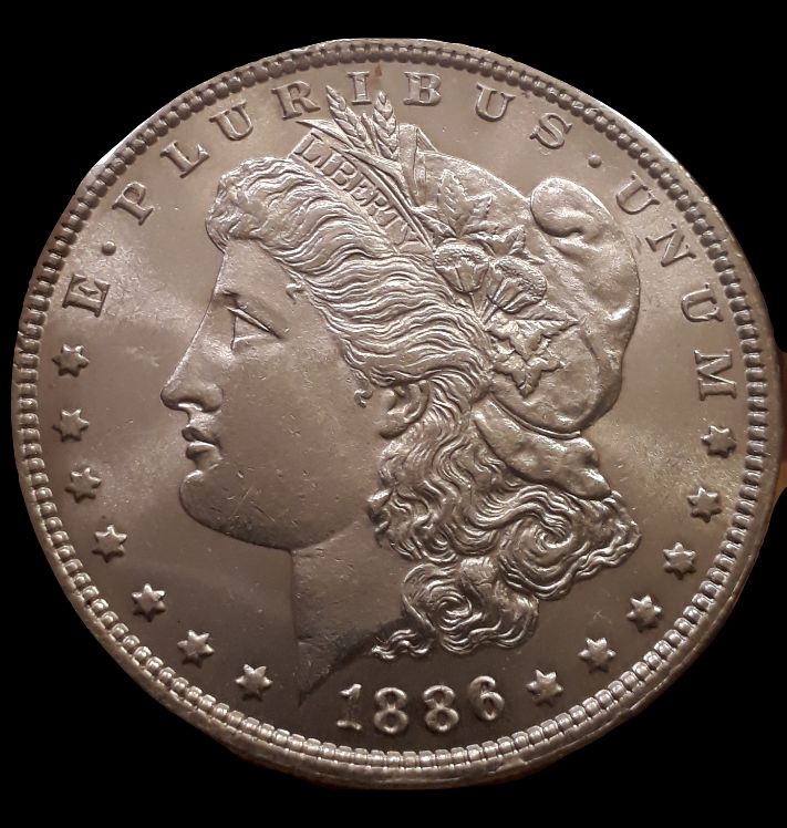 1886-Morgan-Dollar,-Grading-Needed