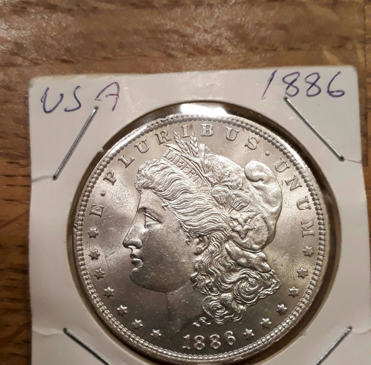 1886-Morgan-Dollar,-Grading-Needed
