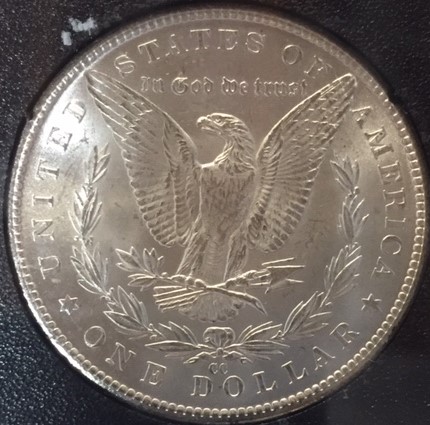 1884-CC-Morgan-Dollar-For-Grading-Opinions