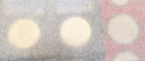 Incorrecly-Slabbed-Ike-Dollar?