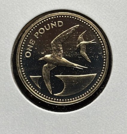 Bring-Out-Your-KM#6-Or-Y#6-Coins-For-Show-&-Tell