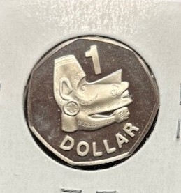 Bring-Out-Your-KM#6-Or-Y#6-Coins-For-Show-&-Tell