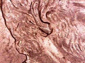 Possible--2006-Lincoln-Cent-Doubled-'Earror'-Coin