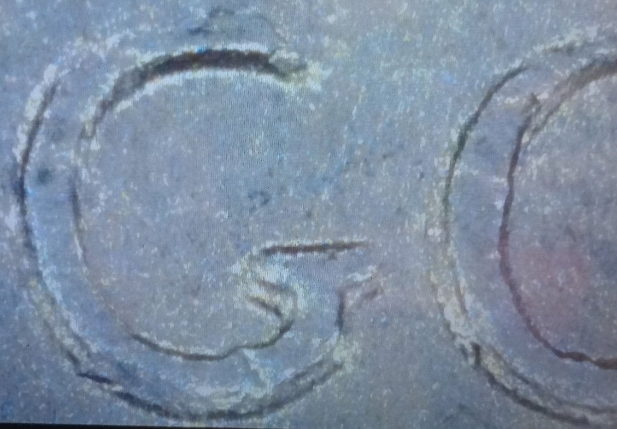 1999-P-Nickel.-Take-A-Look