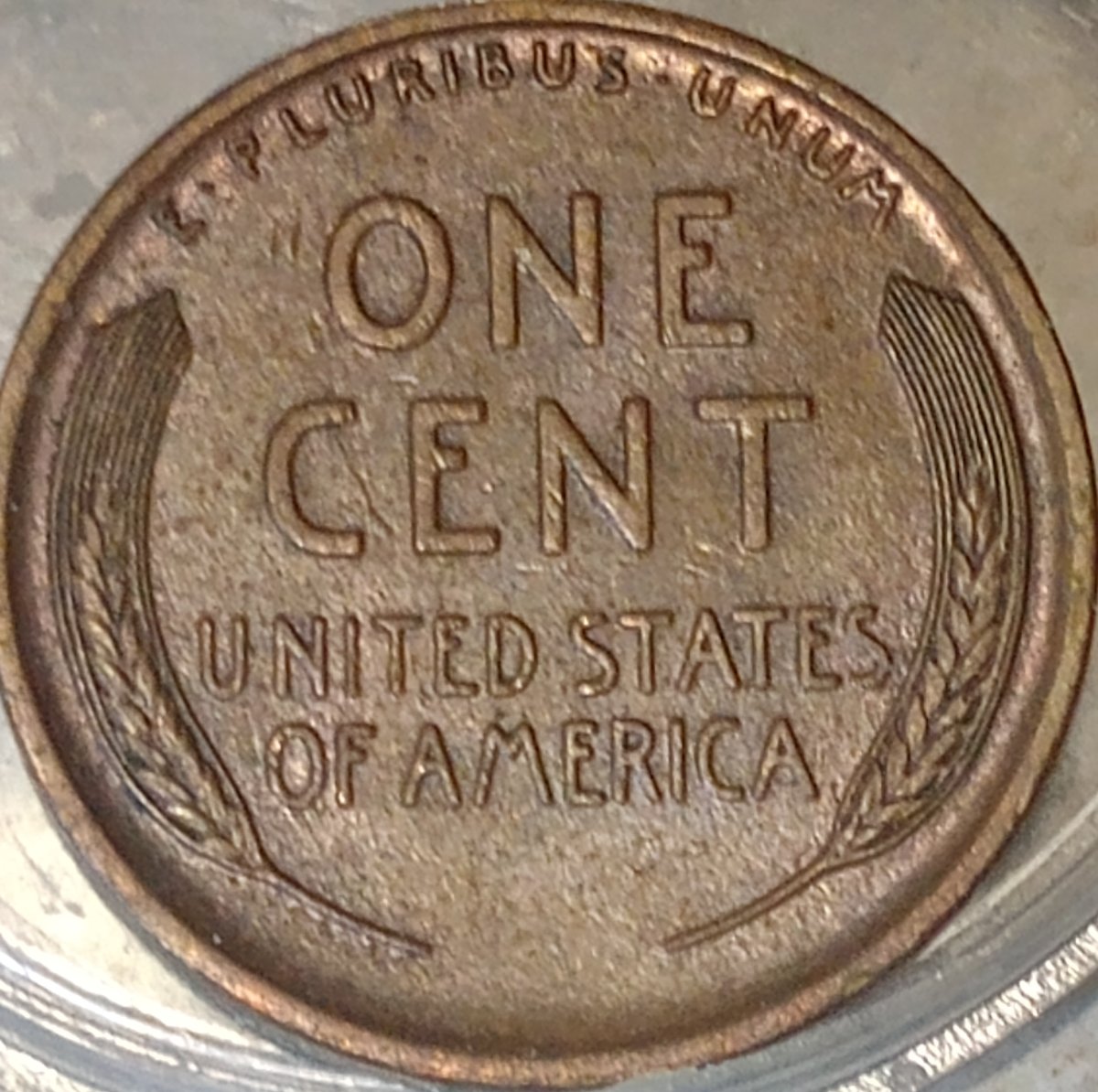 1909-Wheat-Penny-DDR