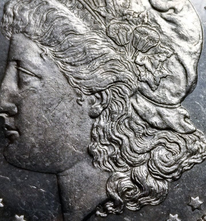 1880-O-Morgan---Grading-&-VAM-Thoughts-Appreciated