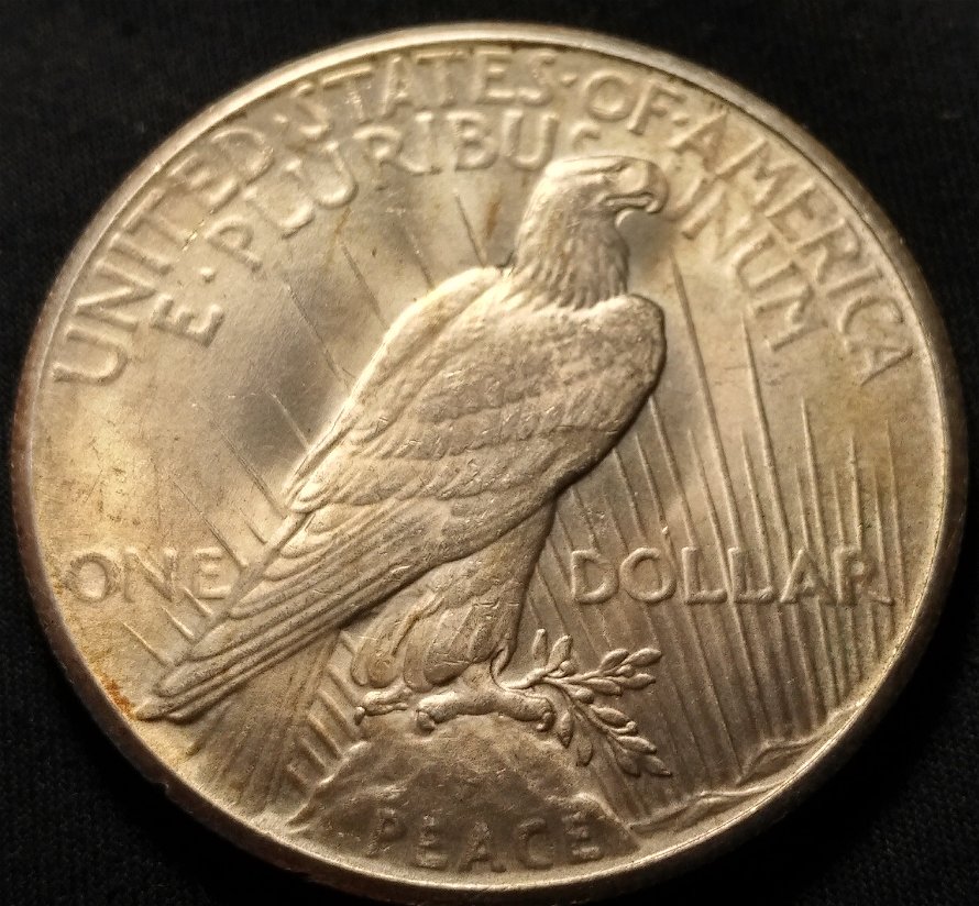1926-Peace-Dollar---Grade-Thoughts-Please