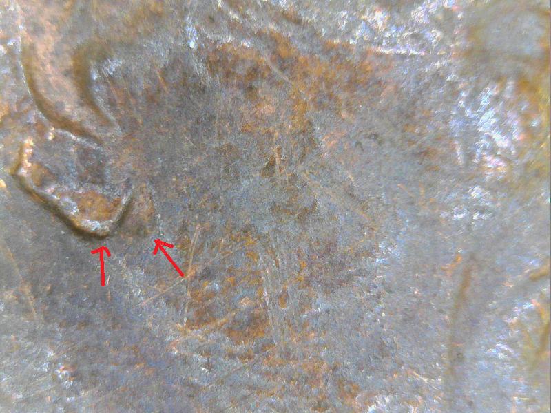 1988-Penny-MD-Or-Partial-Earlobe,-Like-1999-Penny