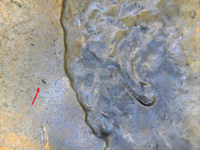 2017-P-Penny-WDDO---001?