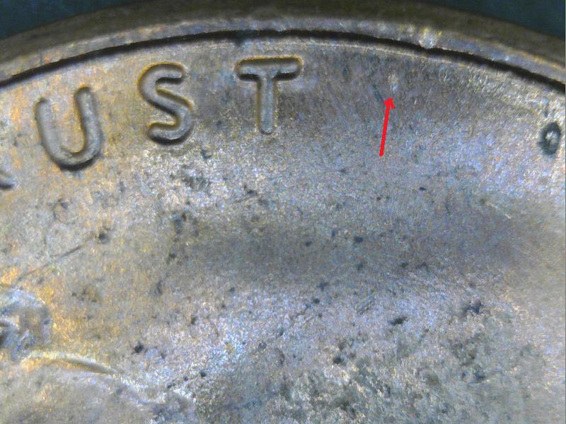 2017-P-Penny-WDDO---001?