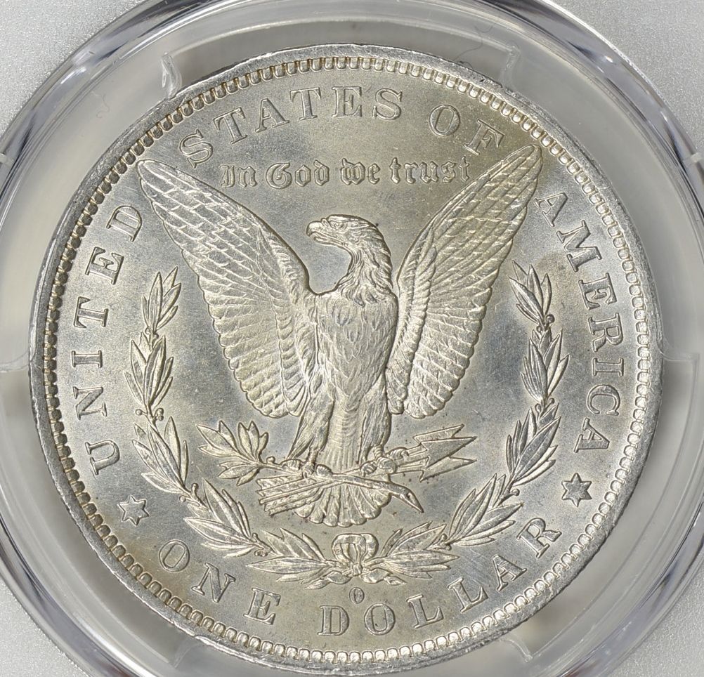 1884-O-Morgan-Dollar---You-Vs-PCGS