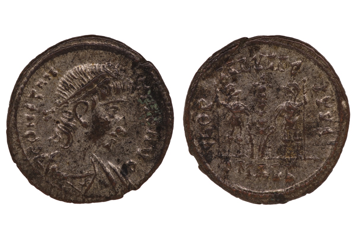 A-Very-Strange-Looking-Constantius-Reverse.