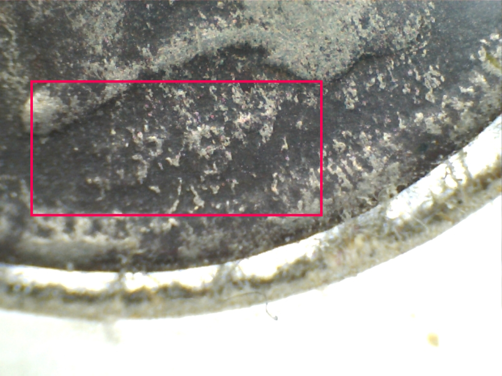 Whst-Do-You-Think?--1882-3-Cernt-Nickel?