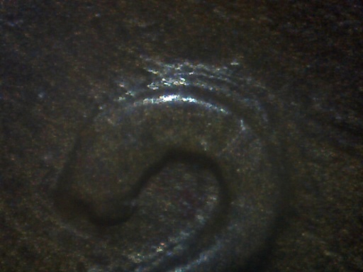 1920-P-Lincoln-Cent-Possible-DDO-Date