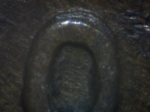 1920-P-Lincoln-Cent-Possible-DDO-Date