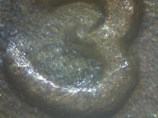 1932-D-Lincoln-Cent-Possible-DDO