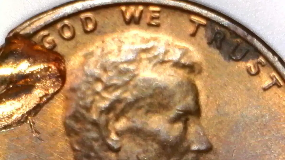1975-D-Lincoln-Cent-�-Seeking-Help-Identifying-This-Mint-Error