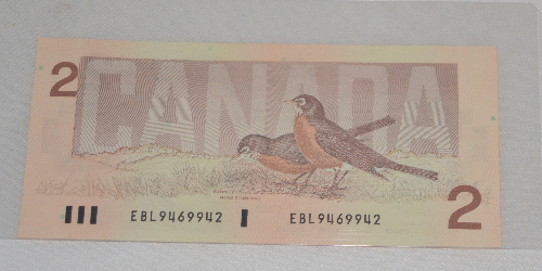 Bundle-Of-Canadian-Bills
