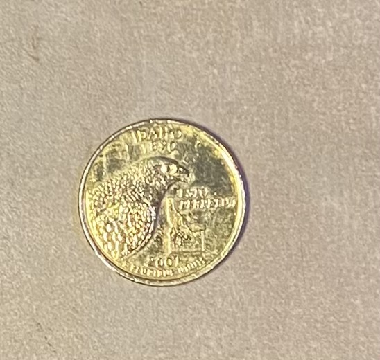 Can-This-Be-A-Circulated-Gold-Plated-2003-D-Quarter?