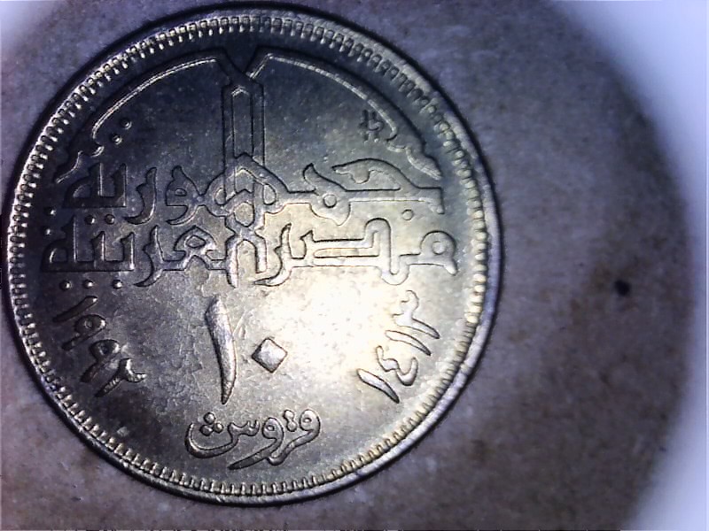 Please-Help-Identify
