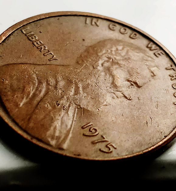 1975-Penny-.-Is-This-A-Bump-In-The-Neck-Area-?