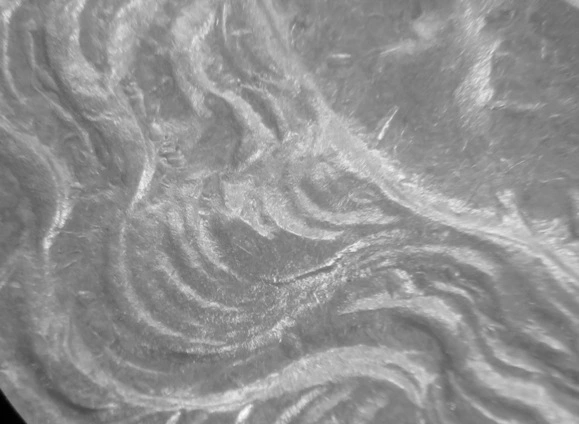 1886-S-Morgan-Dollar---Please-Help-With-VAM-ID
