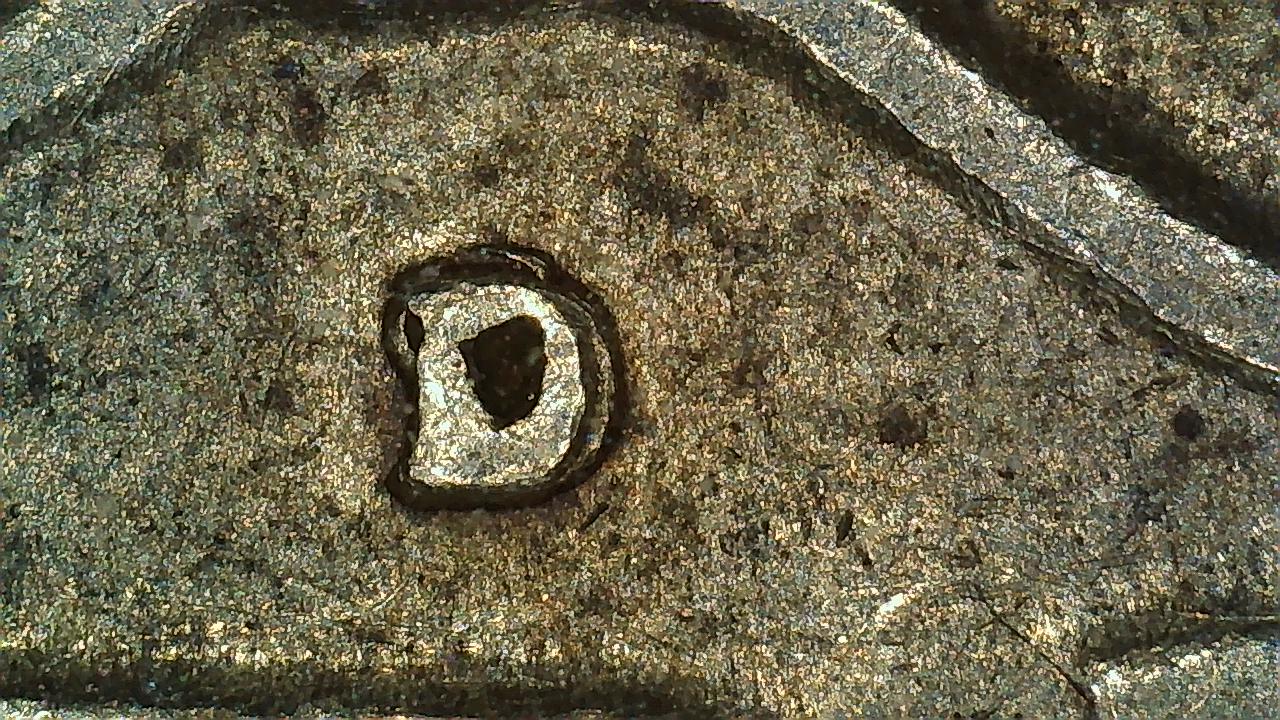 1950-D-Washington-Quarter