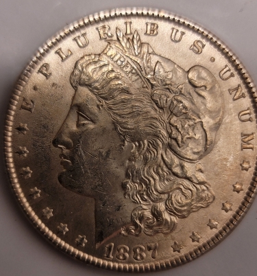 1887-P-Morgan-Help-Identifying-Type-Of-VAM