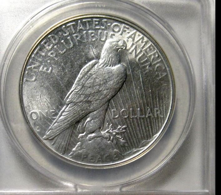 1934-S-Peace---Accurately-Graded-And-Opinion?