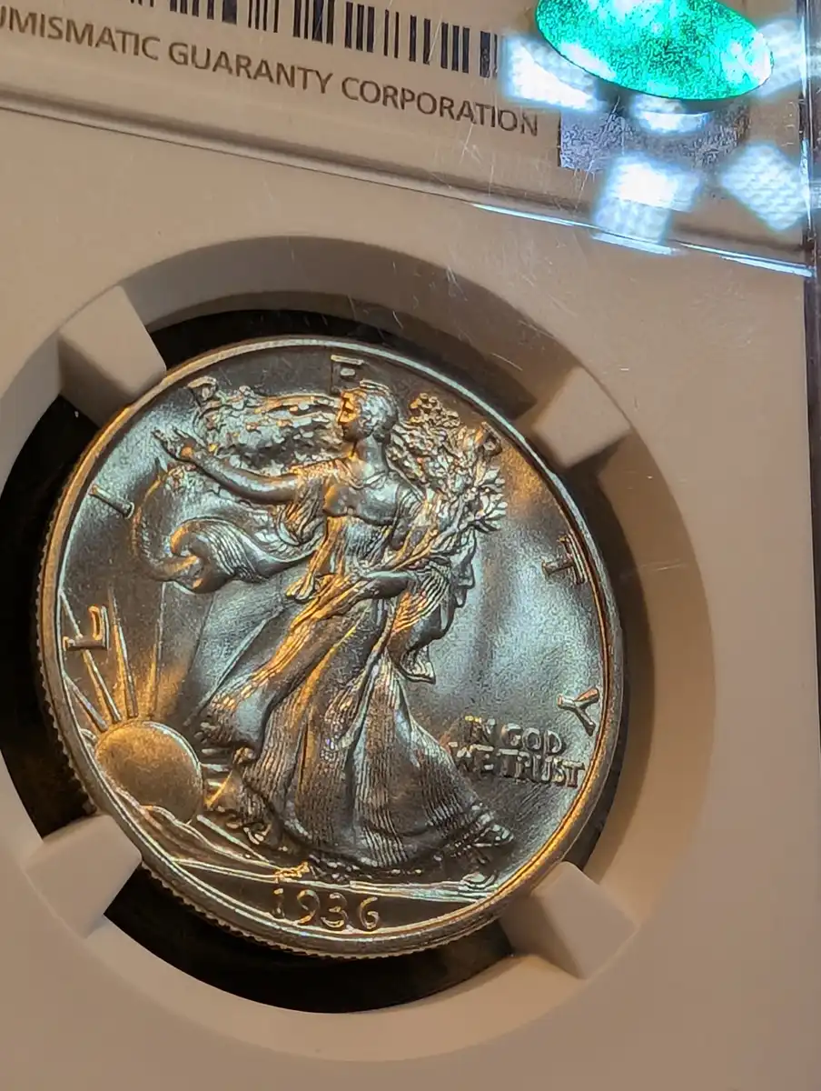 Guess-The-Grade-On-This-1936-P-Walking-Liberty-Half-Dollar-Ngc-Plus-Cac