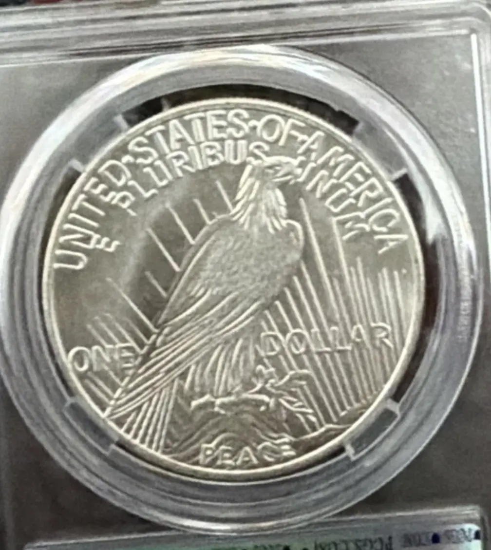 Favorite-Ebay-Counterfeit-Of-The-Week