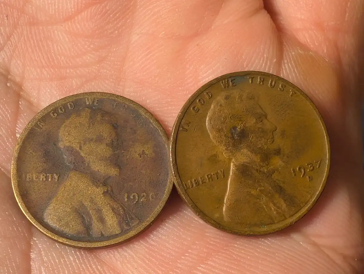 Penny-And-Nickel-Customer--Wrapped-Rolls