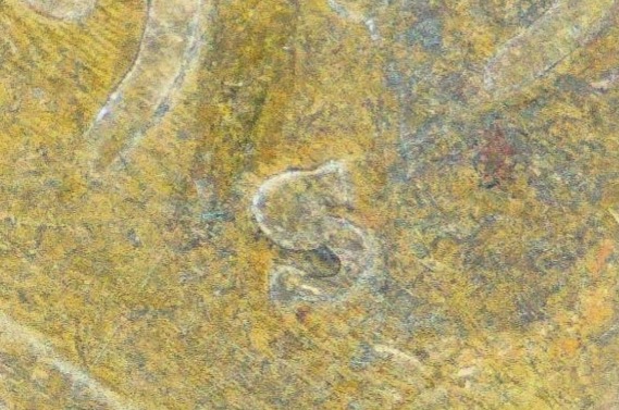 1919-S-Cent-#2:-With-A-Circle-Under-The-Date