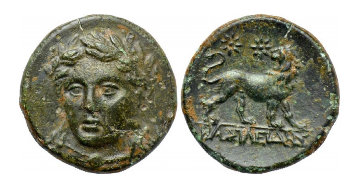 My-First-Animal-On-A-Coin.