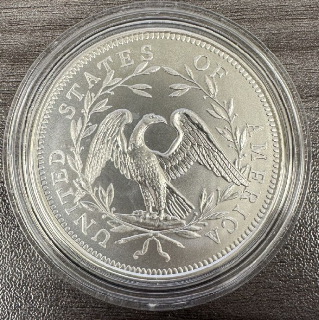 230th-Anniversary-Flowing-Hair-Silver-Medal