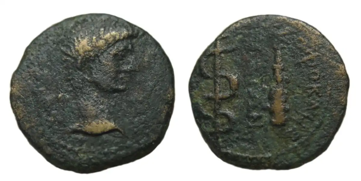 Snakes-On-A-Coin!-Cistephoric-Tet