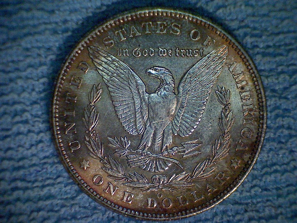 Need-Advice-For-My-Morgan-Dollar-